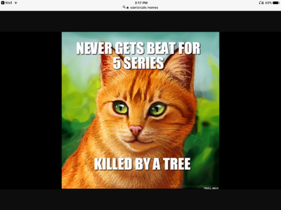 Warrior Cats!'s Photo