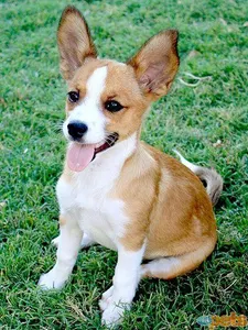 Crazy and Funny!'s Photo Crazy and Funny!'s Photo