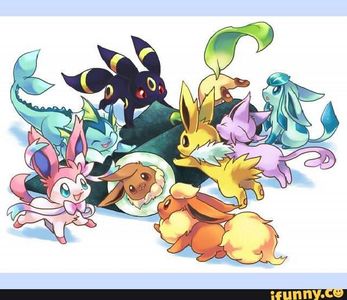 Eeveelutions Squad's Photo