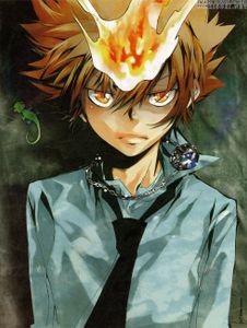 Katekyo Hitman Reborn!