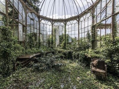 abandoned greenhouses because aesthetic's Photo