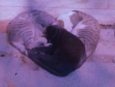 My Aesthetics's Photo My Aesthetics's Photo