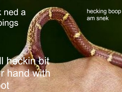 Snek memes!'s Photo