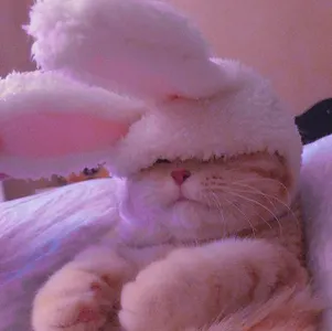 My Aesthetics's Photo My Aesthetics's Photo