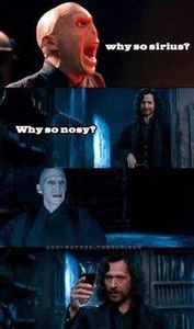 Harry Potter Memes (1)'s Photo