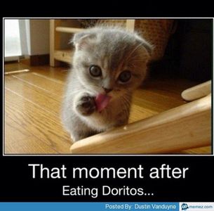 Doritos Page!'s Photo