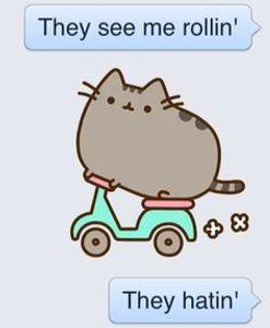 The Pusheen Page's Photo