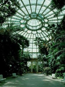 abandoned greenhouses because aesthetic's Photo