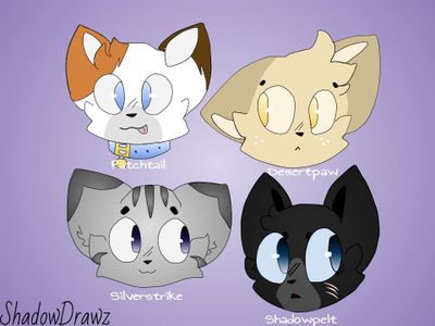 Warrior Cats Fandom (Edits)'s Photo