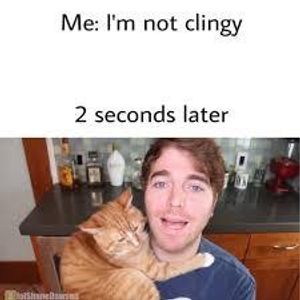 Shane Dawson's Photo