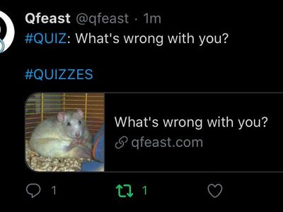 Qfeast Questions & Answers's Photo