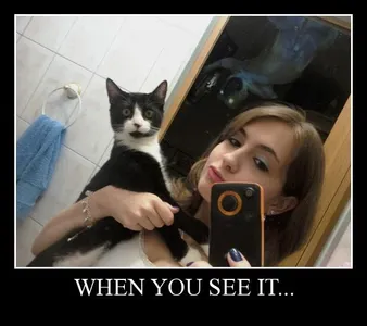 When you see it you'll sh*t brickz's Photo When you see it you'll sh*t brickz's Photo