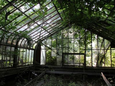 abandoned greenhouses because aesthetic's Photo