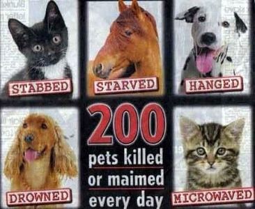 Animal Abuse Needs To STOP!!'s Photo