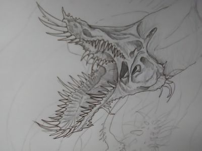 My dragon art page?'s Photo