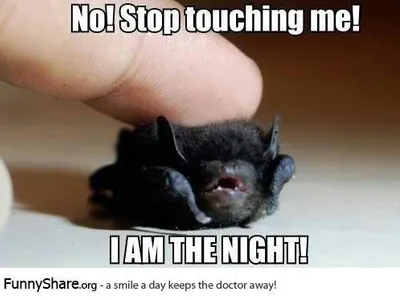 MEMES!'s Photo MEMES!'s Photo