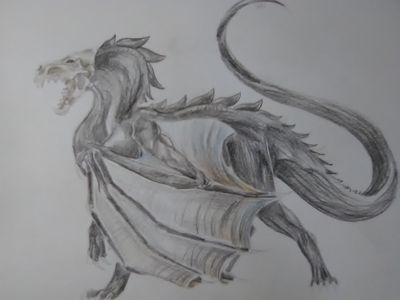 My dragon art page?'s Photo