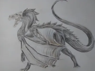 My dragon art page?'s Photo My dragon art page?'s Photo