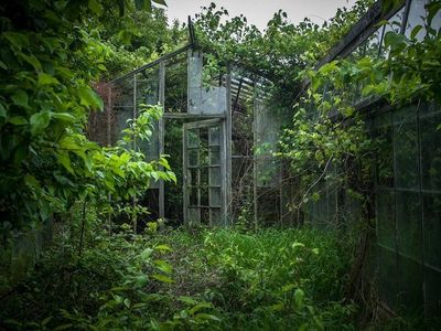 abandoned greenhouses because aesthetic's Photo