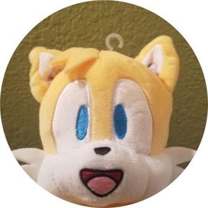 Sonic the Hedgehog's Photo