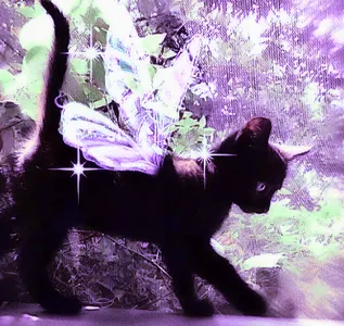 My Aesthetics's Photo My Aesthetics's Photo