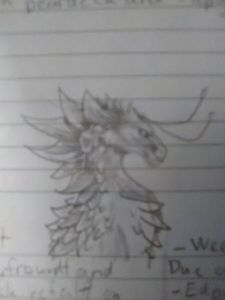 My dragon art page?'s Photo