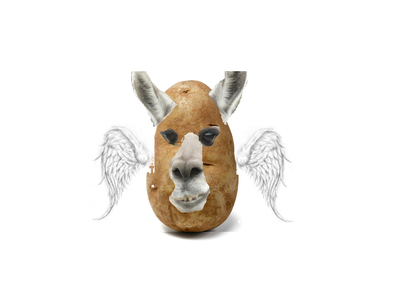 THE LLAMA ARMY's Photo