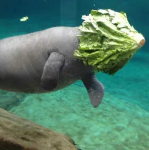 Cursed images's Photo Cursed images's Photo