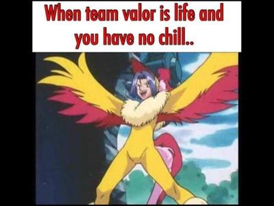 Team Valor's Photo