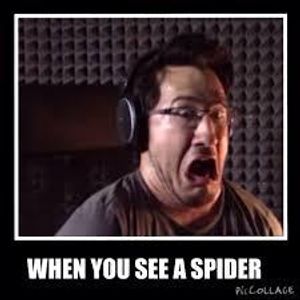 Markiplier memes's Photo