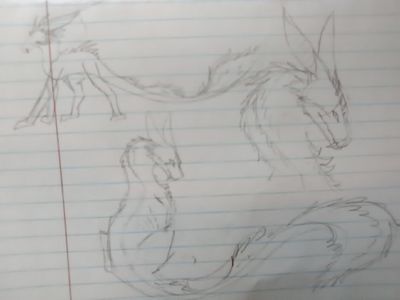 My dragon art page?'s Photo