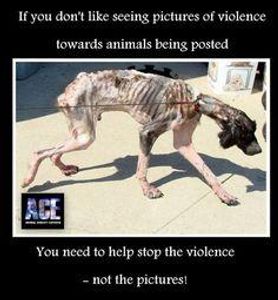 Animal Abuse Needs To STOP!!'s Photo