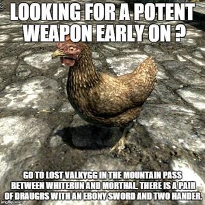 Skyrim Memes's Photo