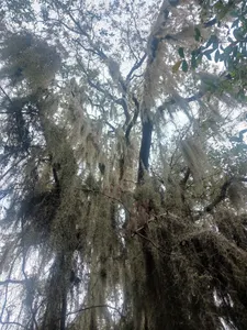 Nature's Photo Nature's Photo