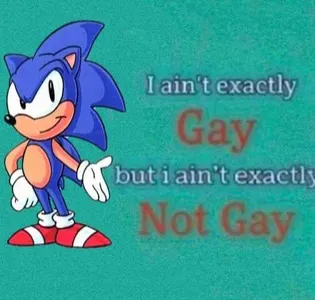 Sonic the Hedgehog's Photo Sonic the Hedgehog's Photo