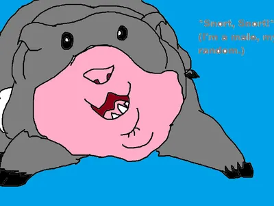 Q & A with Mr. Pig the vietnamese potbelly pig's Photo Q & A with Mr. Pig the vietnamese potbelly pig's Photo