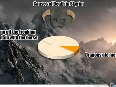 Skyrim Memes's Photo