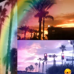 Pic Contest Pic Contest