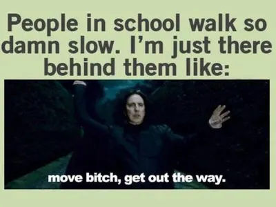 Page for anything!'s Photo Page for anything!'s Photo