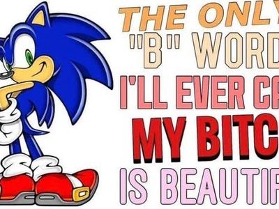 Sonic the Hedgehog's Photo