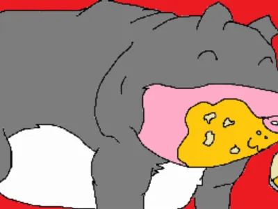 Q & A with Mr. Pig the vietnamese potbelly pig's Photo Q & A with Mr. Pig the vietnamese potbelly pig's Photo