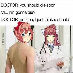 Doki Doki Literature club memes!'s Photo