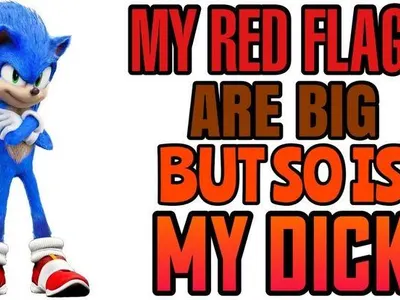 Sonic the Hedgehog's Photo Sonic the Hedgehog's Photo