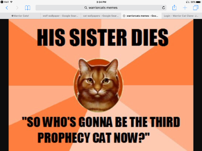 Warrior Cats!'s Photo