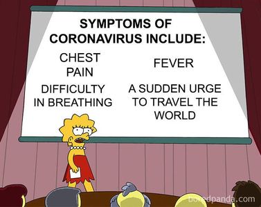 coronavirus memes's Photo