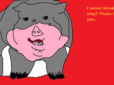 Q & A with Mr. Pig the vietnamese potbelly pig's Photo Q & A with Mr. Pig the vietnamese potbelly pig's Photo