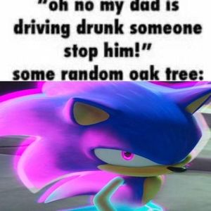 Sonic the Hedgehog's Photo