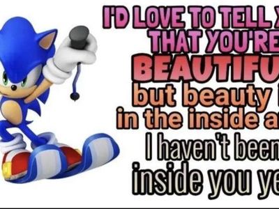 Sonic the Hedgehog's Photo