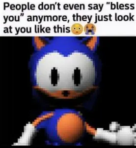 Sonic the Hedgehog's Photo Sonic the Hedgehog's Photo