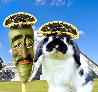 Jose` Jalapeno (on a STEEK0 Jose` Jalapeno (on a STEEK0